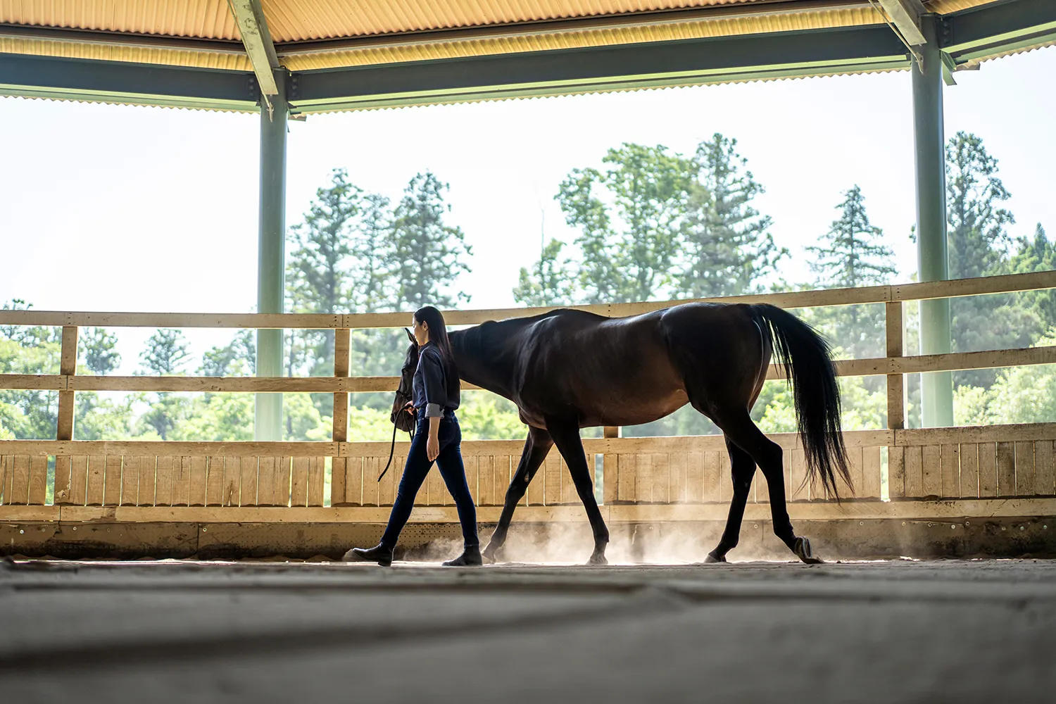 Horse Education&reg; | 人間教育