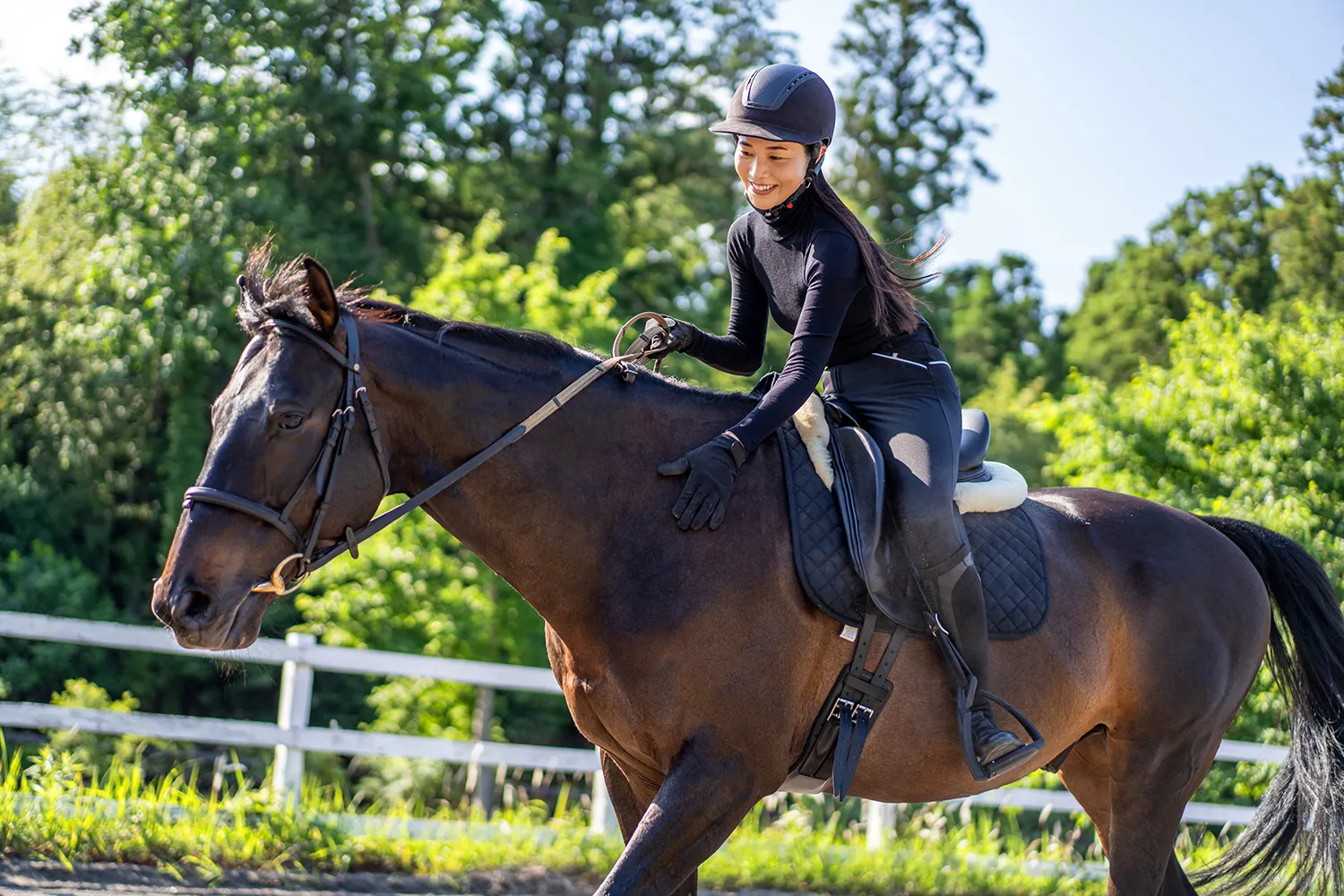 Horse Education&reg; | 技能教育